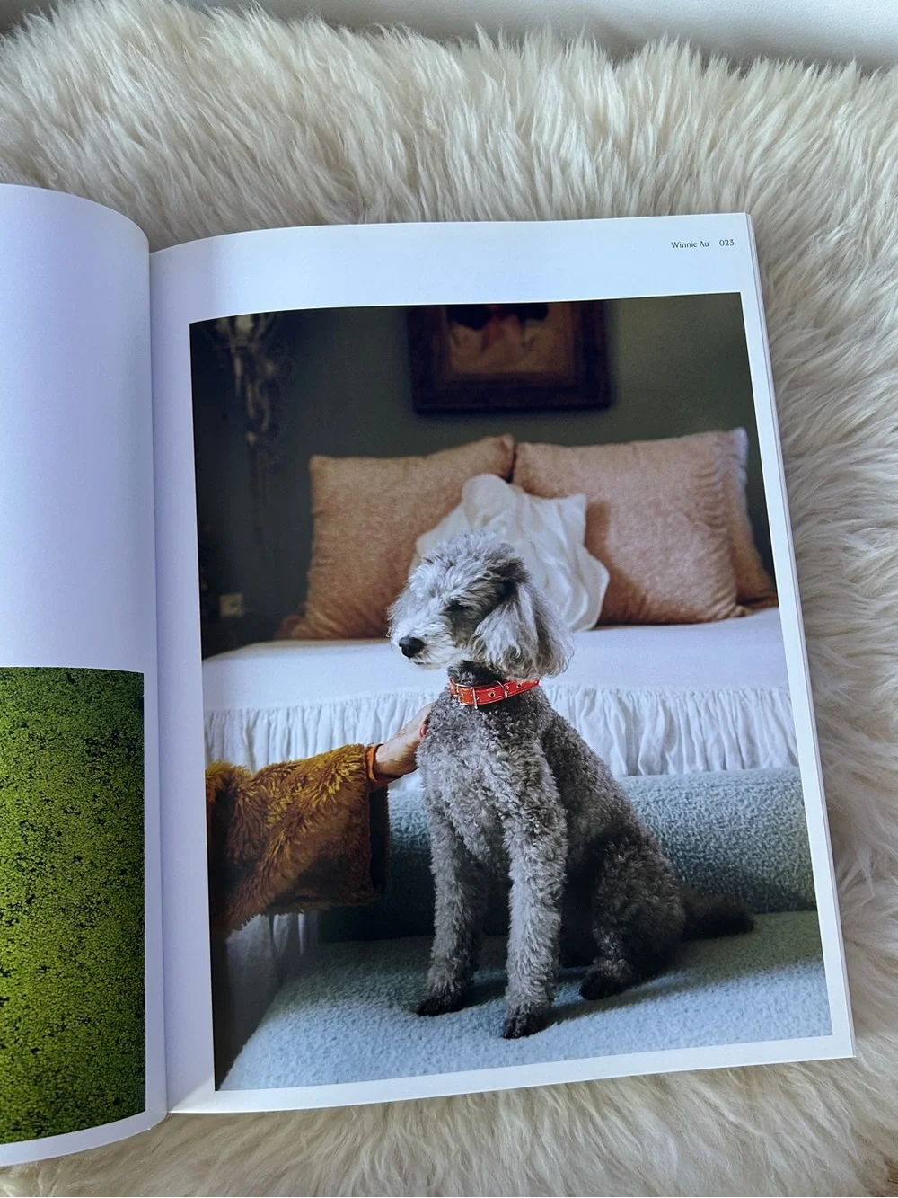 American Photography 35